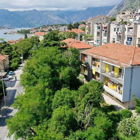 Viola Lux Apartments Kotor Zewnętrze zdjęcie