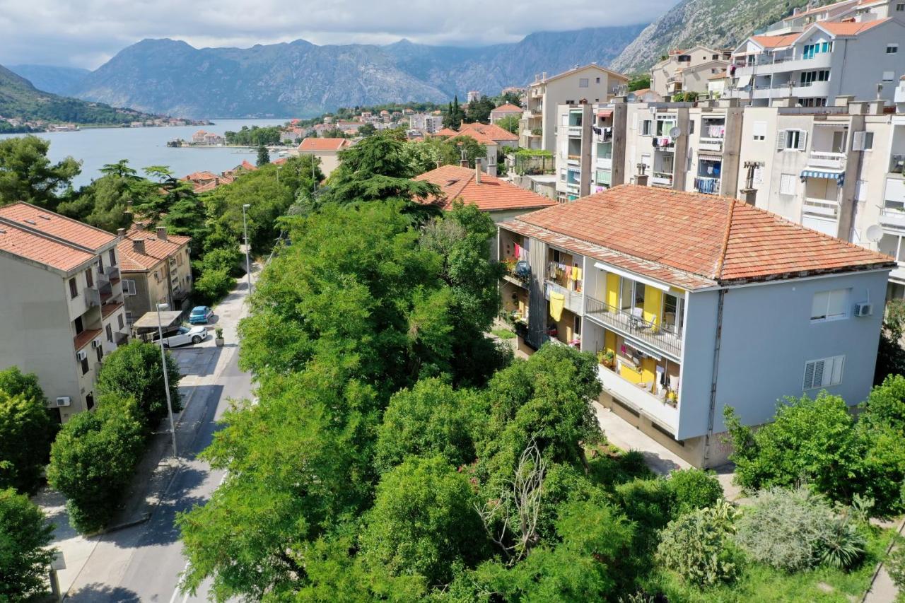 Viola Lux Apartments Kotor Zewnętrze zdjęcie