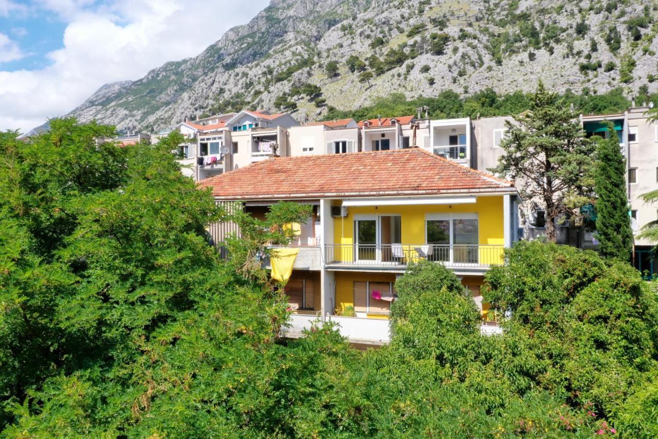 Viola Lux Apartments Kotor Zewnętrze zdjęcie